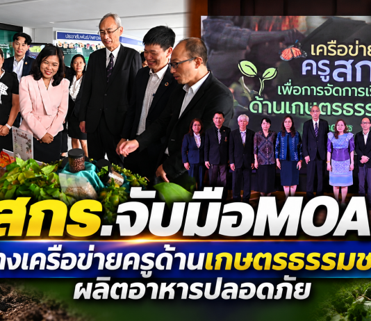 FD0B4385-A8B3-478A-97AF-ACAF717EDBCD-534x462 Home